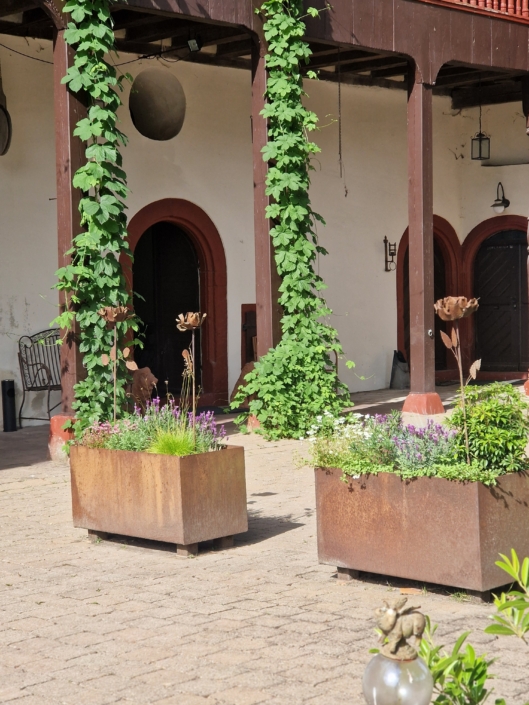 Bildarstellung von 20260606 091720  - Schloss Schwandorf
